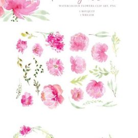 Pink Flowers Peony 1738572 Free Download