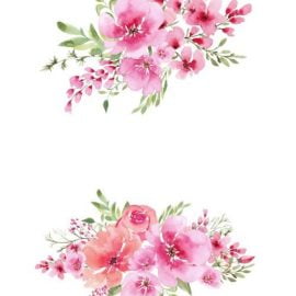 Watercolour Clipart 1738560 Free Download