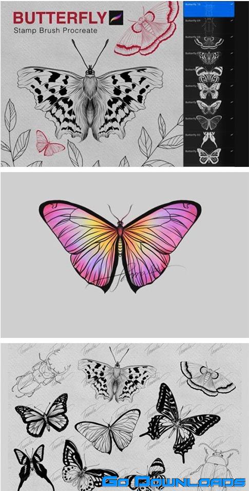 Butterfly Procreate Stamps Brush 7175257 Free Download