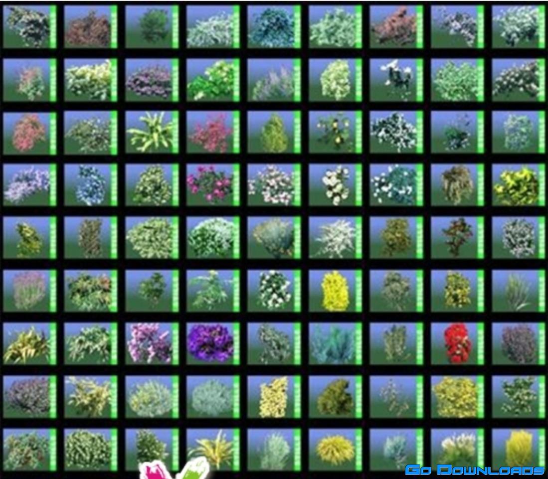 RPC Models for Max Plantscape vol. 2 Free Download