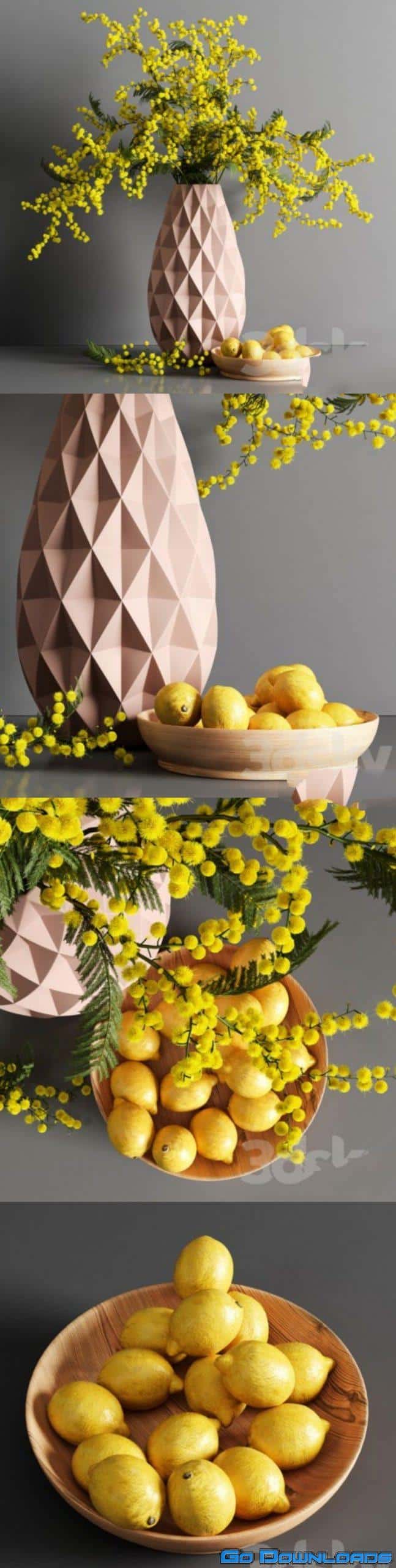 Decorative Mimosa Lemon Free Download