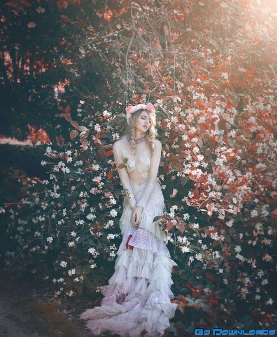 Exterior Edit by Rebeca Saray Free Download