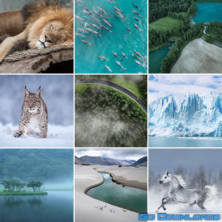 Phlearn Pro – Vibrant Nature LUTs for Photo & Video Free Download