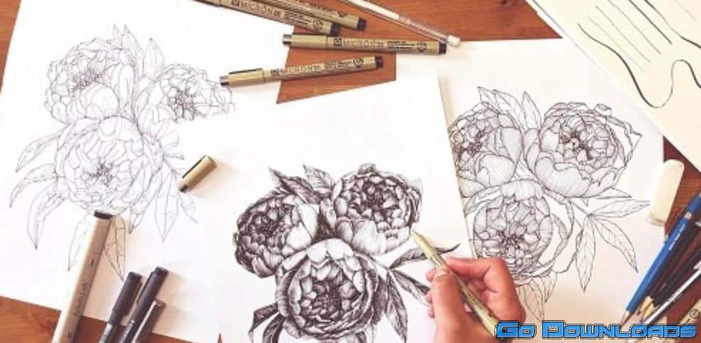 3 Line Art Styles: Mastering Botanical Drawing With Ink Pens