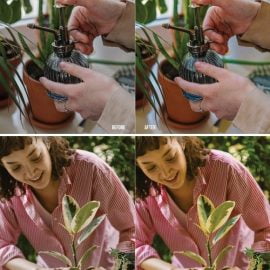 Garden Mobile and Desktop Lightroom Presets Free Download