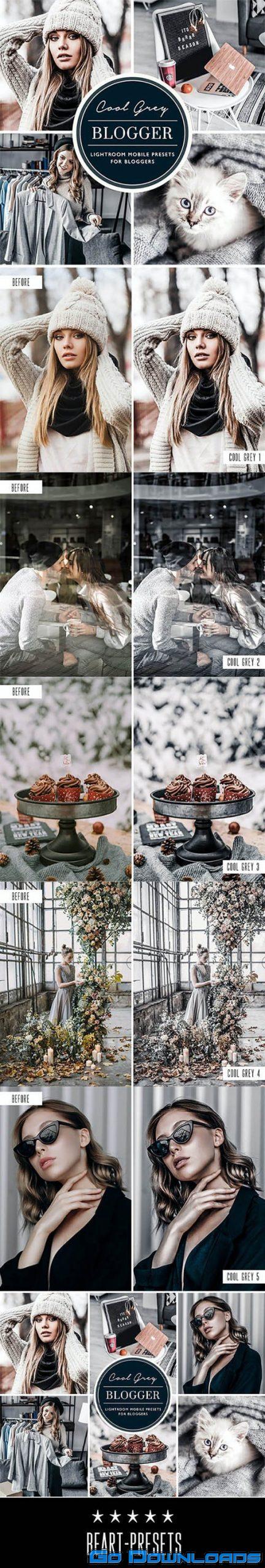 GraphicRiver Silver Grey Lightroom Preset 26660424 Free Download