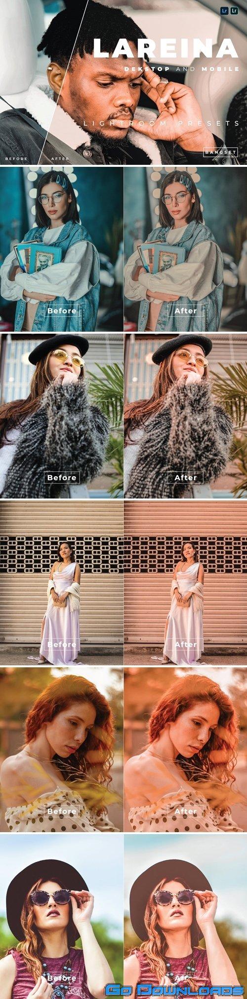 Lareina Desktop and Mobile Lightroom Preset Free Download