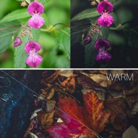 CM Autumn Vibes Lightroom Presets 1957277 Free Download