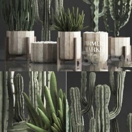 Plant Collection 374 Free Download