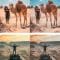 CreativeMarket Sahara Desert Lightroom Presets 6317189 Free Download