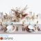 Table Setting with a Bouquet of Dried Flowers Free Download