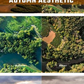 Autumn Aesthetic LUTs and Lightroom Presets Free Download