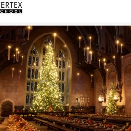 Vertex School – Houdini FX & Redshift – On Demand Free Download