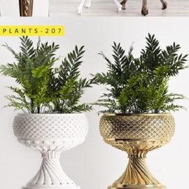 Plants 207 Free Download