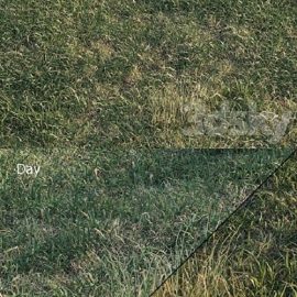 Pro 3DSky – Spring meadow | grass Free Download