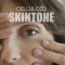 Filtergrade – Celluloid Skintone LUTs Pack Free Download