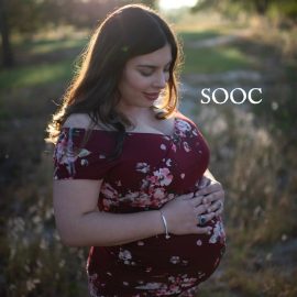 Twig & Olive Photography – Spring Gem Presets Free Download