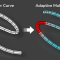 Adaptive Curve v1.5 for Blender Free Download