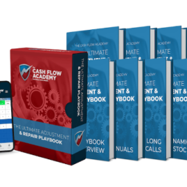 Noah Davidson – The Ultimate Adjustment and Repair Playbook Free Download