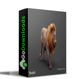 Udemy – Hyena groom techniques in Houdini Free Download