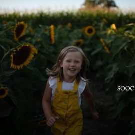 Twig & Olive Photography – Harvest Matte Presets Free Download