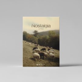 Julian Papis – Nostalgia LUT Pack