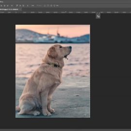 Udemy – Adobe Photoshop Masterclass: Beginner to Pro Photo Editor Free Download