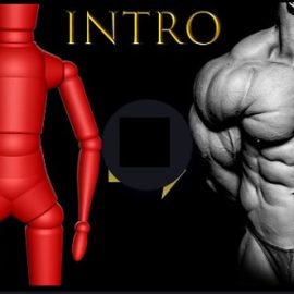 Udemy – Advance Zbrush Bodybuilder Anatomy Tutorial Vol. 2 Free Download