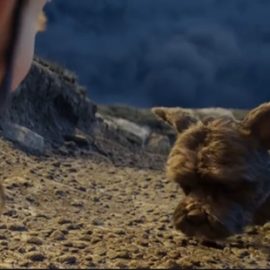 Udemy – Blender in Practice Creating a 3D Factory | 2025 Free Download