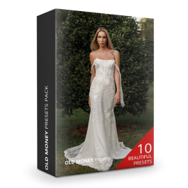 Pavel Vozmishchev – OLD MONEY Presets