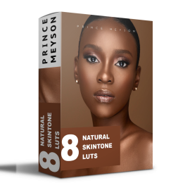 Prince Meyson Natural Skin Tone LUTs For Dark Skin