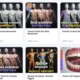 Flipped Normals – Ultimate Character Basemesh & Anatomy FlipBox Free Download