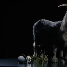 The Gnomon Workshop – Vellum Hair Simulation in Houdini Free Download