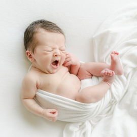 Refined I Free Download