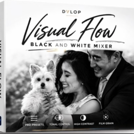 DVLOP – Visual Flow – Black and White Mixer