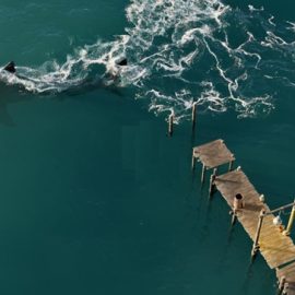 The Gnomon Workshop – Introduction to Houdini Fluids Free Download