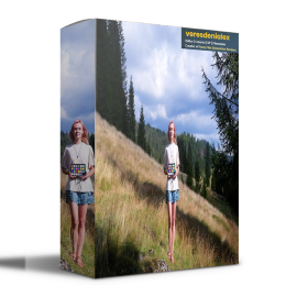 Veresdenialex Sony Film Simulation Recipes -PDF