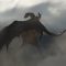 The Gnomon Workshop – Animating a Dragon Rider for Film & VFX Free Download