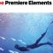Adobe Premiere Elements 2026 v26.3 Win Free Download