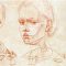 Anatomymasterclass – Anatomy for Artists Free Download