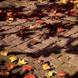 FastTrackTutorials – Ultimate Photogrammetry Course – Beginner to Advanced Free Download
