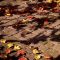 FastTrackTutorials – Ultimate Photogrammetry Course – Beginner to Advanced Free Download