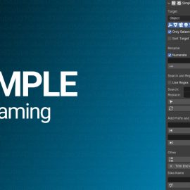 Simple Renaming v2.1.6 for Blender Free Download