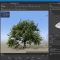 SpeedTree Modeler v10.2.0 Win Free Download