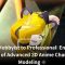 Coloso – From Hobbyist to Professional – Enter the World of Advanced 3D Anime Character Modeling
