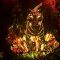 Fast Campus – Motion Graphics New Paradigm