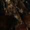 Gumroad – Cinematic Liquid Gold Melting & Erosion FX for Houdini