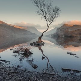Martin Castein – Landscape Editing Masterclass