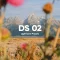 Dylan Spitz – DS Presets 02 for Lightroom Presets