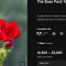 Cobalt Image – The Base Pack for Nikon Z6II